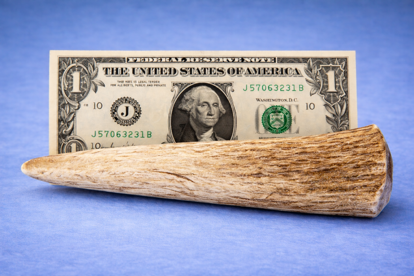 Elk Antler Dog Chews