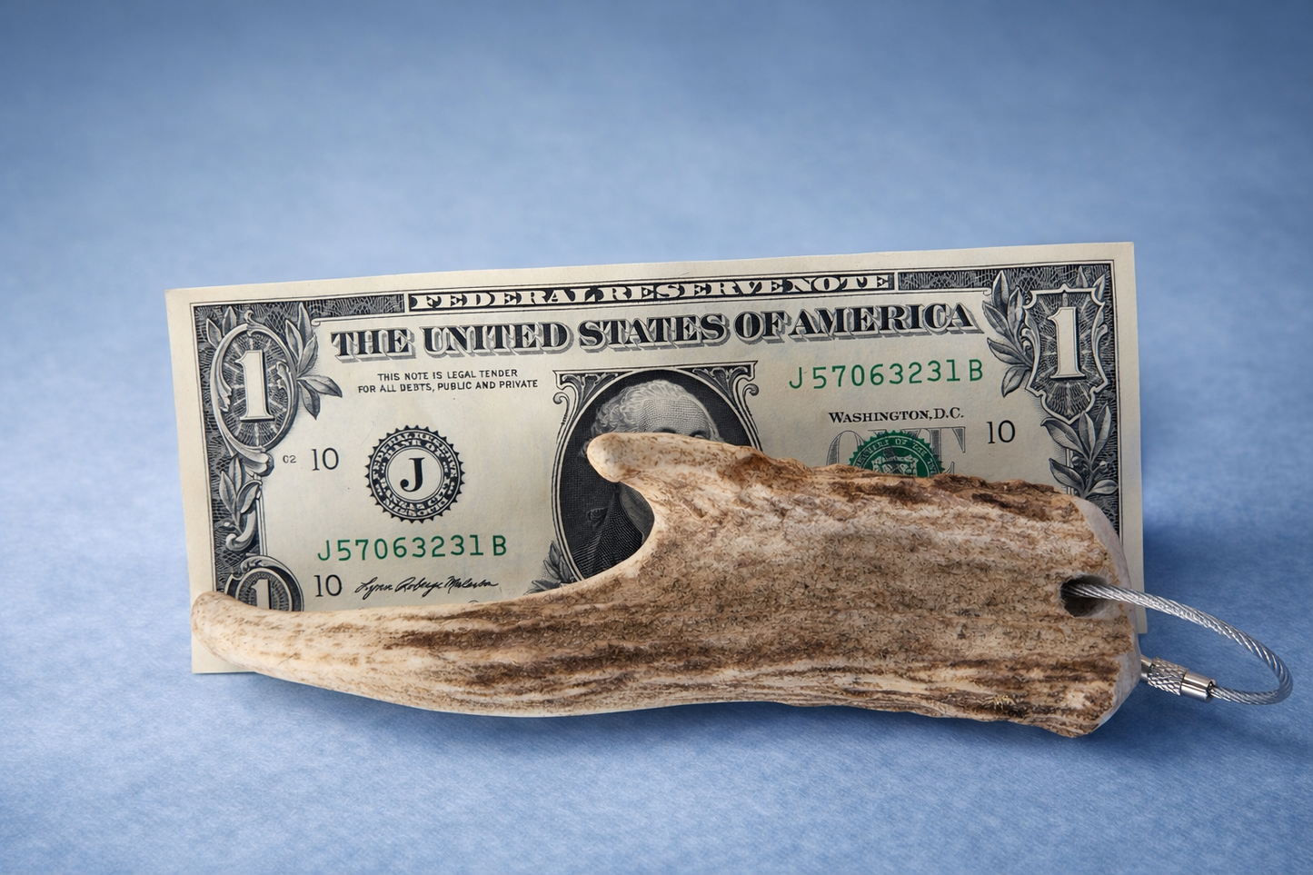 Elk Antler Key Chain/Zipper Pull
