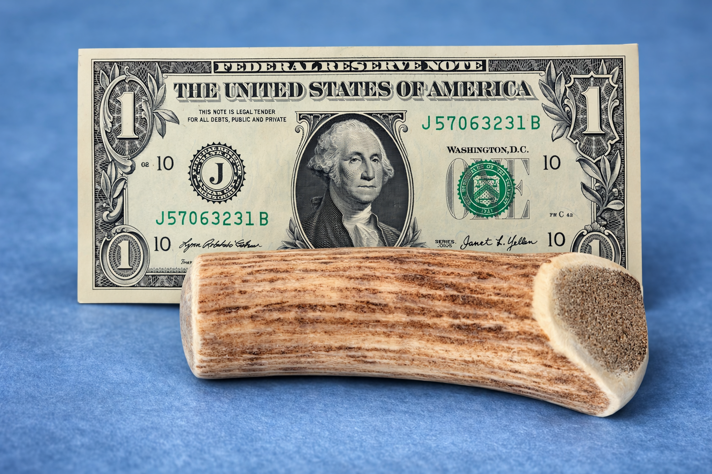 Elk Antler Dog Chews